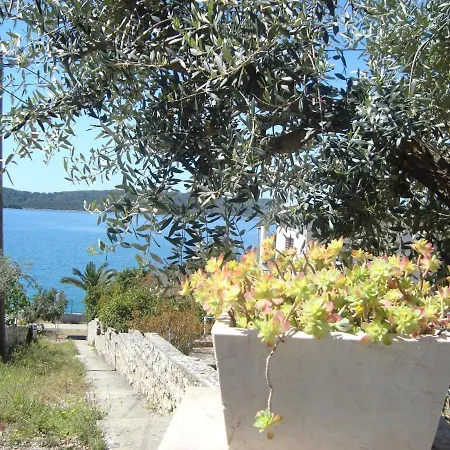 In Okrug Gornji With Sea View, Terrace, Air Conditioning, W-lan 5045-1 Apartment